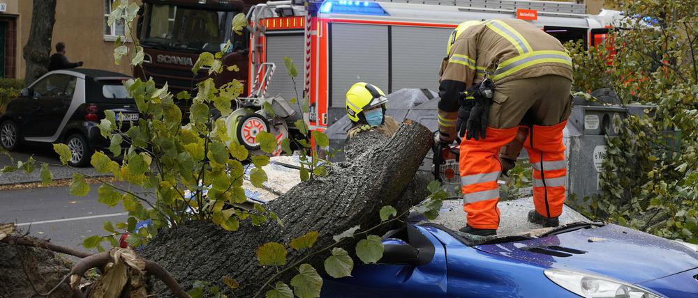 In der Eichbuschallee in Treptow / Köpenick ist ein Baum durch Sturmtief Ignatz auf ein geparktes Auto gefallen. Die Berliner Feuerwehr beseitigt den Baum. Berlin, 21.10.2021 *** In the Eichbuschallee in Treptow Köpenick, a tree has fallen on a parked car due to storm Ignatz The Berlin Fire Department removes the tree Berlin, 21 10 2021 Foto:xT.xBartillax/xFuturexImage