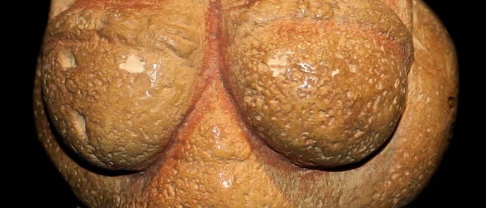 Die Venus von Willendorf – von Facebook verschmäht – soll auf Only-Fans Liebhaber finden.