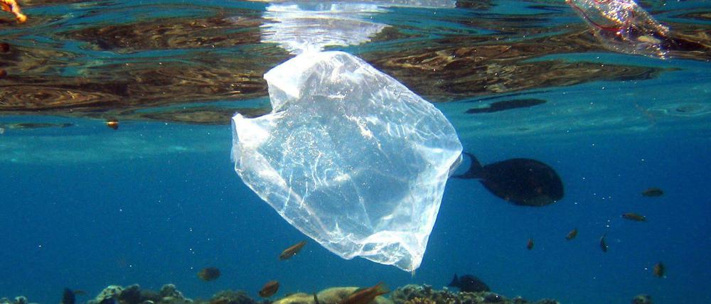 Die Organisation The Ocean Cleanup hat das ziel, unsere Meere von Plastik zu befreien.