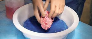 Die Niere eines speziellen, gentechnisch veränderten Schweins wird vorbereitet, um versuchsweise einer (hirntoten) Frau eingepflanzt zu werden. 