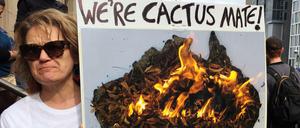 Proteste für mehr Klimaschutz in Australien (Archivbild von 2019)