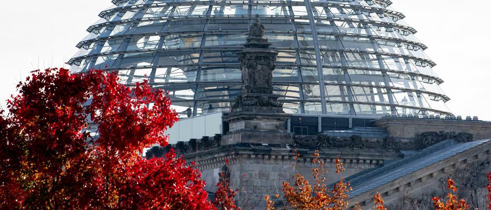 Mal kein politisches Farbenspiel. Rote Blätter hängen an den Bäumen vor der Kuppel des Reichstagsgebäudes.