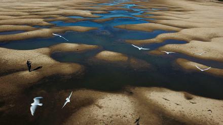 Das Flussbett des Alten Parana-Flusses in Argentinien während einer Dürre (Archivbild)