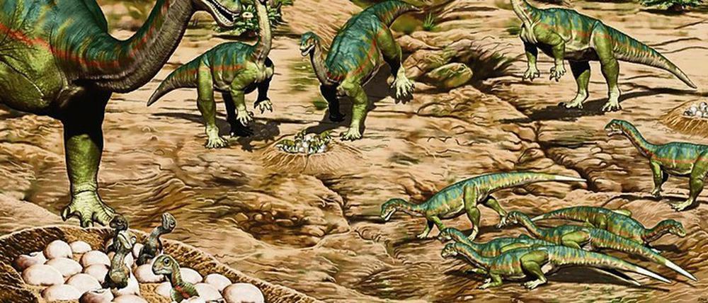 Mäusesaurier-Nest. Bei Mussaurus war nur der gut behütete Nachwuchs winzig.