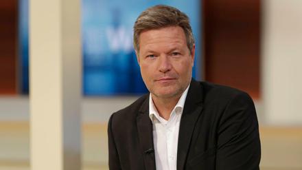 Robert Habeck, Parteivorsitzender Bündnis 90/Die Grünen