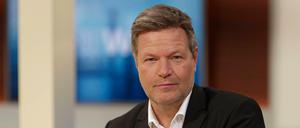 Robert Habeck, Parteivorsitzender Bündnis 90/Die Grünen