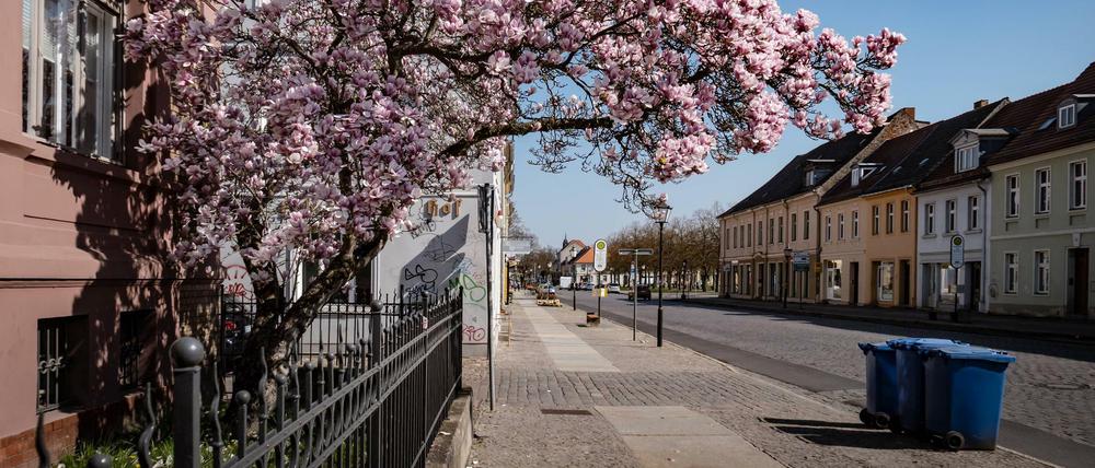 Schön ist's in Neuruppin - auch für Kriminelle?