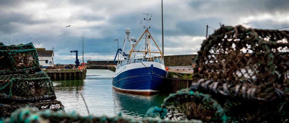 Ein Fischerboot im Hafen des britischen Kilkeel (Archivbild)