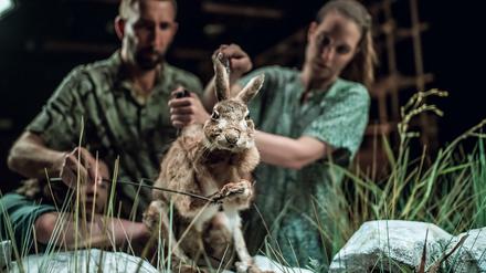 Die Rache der Hasen. „Still Life“ vom Puppentheater Ljubljana.