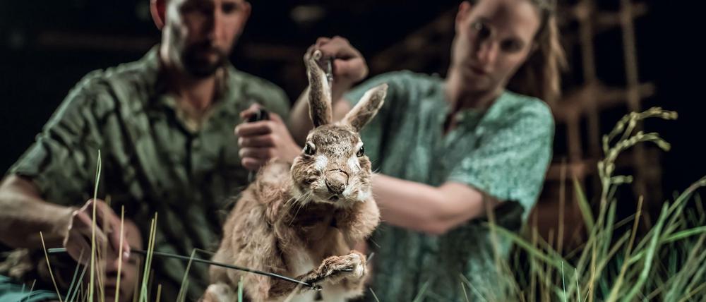 Die Rache der Hasen. „Still Life“ vom Puppentheater Ljubljana.