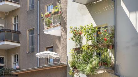 Fassade eines Mietshauses in Kreuzberg. Der Senat versucht solche Häuser vor zu starken Mietsteigerungen zu schützen.