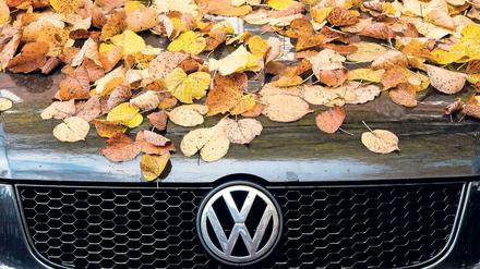Greenpeace verklagt Volkswagen auf einen Verbrenner-Ausstieg bis 2030.