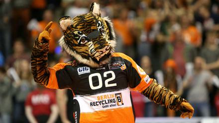 Volleys-Maskottchen Charly sorgt bei den Heimspielen für gute Stimmung.