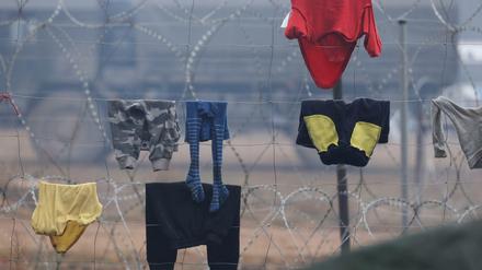 Tausende Migranten stecken an der belarussisch-polnischen Grenze fest. Dort haben sie provisorische Camps im Wald errichtet. 