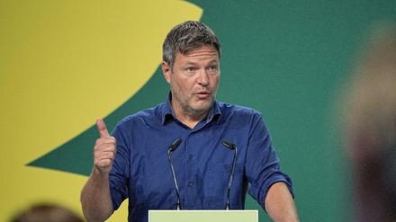 Robert Habeck, Bundesvorsitzender der Grünen (Archivbild)