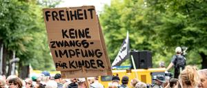 Impfgegner demonstrierten im Sommer in Berlin.