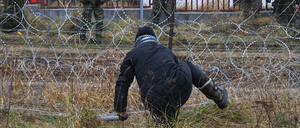 An der polnisch-belarusischen Grenze: Ein Flüchtling versucht, einen Stacheldrahtzaun Richtung Polen zu überwinden. 
