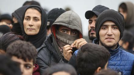 Migranten harren an der belarussisch-polnischen Grenze aus.