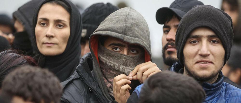 Migranten harren an der belarussisch-polnischen Grenze aus.