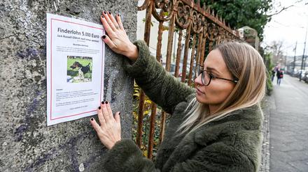Hundehalterin Friederike Brandts sucht nach ihrem vermissten Hund Oskar.