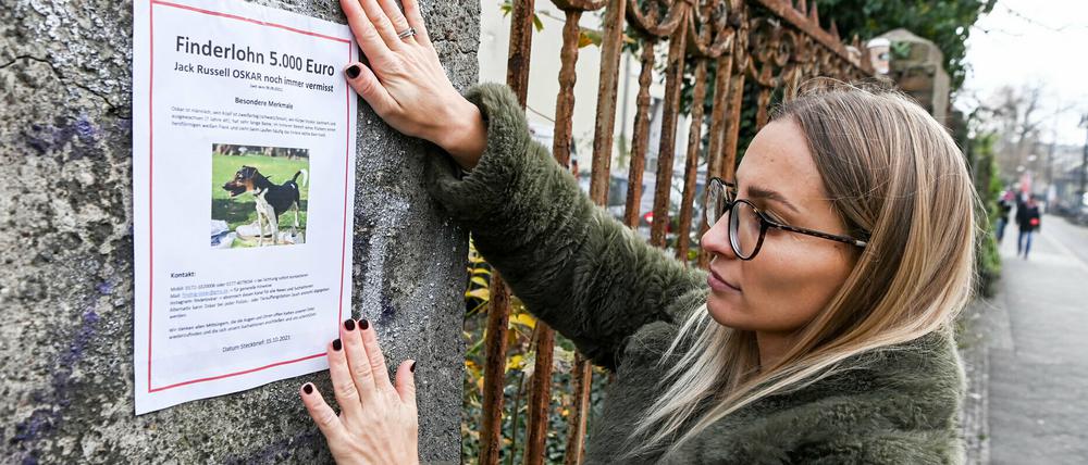 Hundehalterin Friederike Brandts sucht nach ihrem vermissten Hund Oskar.
