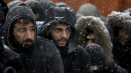 Migranten im Grenzgebiet zwischen Belarus und Polen