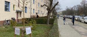 Von Anwohnenden selbst gepflanzte Bäume in Berlin-Prenzlauer Berg.