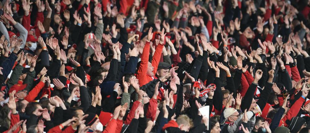 Viele Fans. Die Politik machte es möglich.
