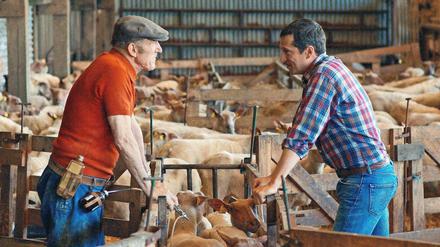 Kräftemessen. Altbauer Jacques (Rufus) und Sohn Pierre (Guillaume Canet).