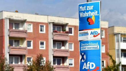 Wahlplakate der Alternative für Deutschland (AfD).