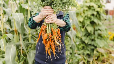 Hauptsache Öko: Die Koalition will den Bioanteil ausbauen.