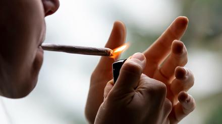 Die Ampel-Parteien wollen Cannabis für den Genuss legalisieren. Bald könnte Hanf in lizenzierten Geschäften frei verkauft werden.
