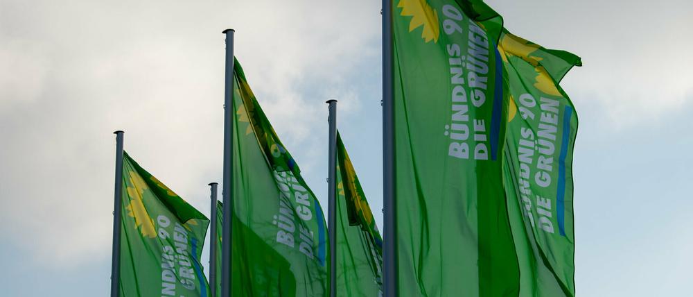 Fahnen von Bündnis 90/Die Grünen wehen im Wind.