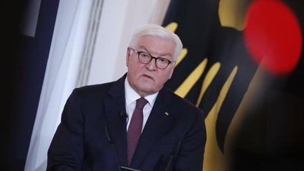 Bundespräsident Frank-Walter Steinmeier (Archivbild)