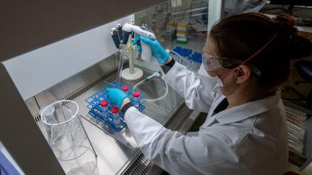Untersuchungen zum Coronavirus in einem Labor.
