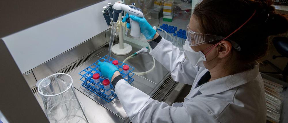 Untersuchungen zum Coronavirus in einem Labor.