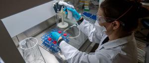 Untersuchungen zum Coronavirus in einem Labor.