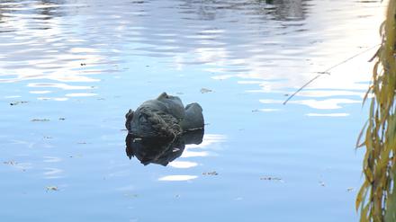 Orpheuskopf-Skulptur treibt singend auf dem Halensee in Berlin-Grunewald.