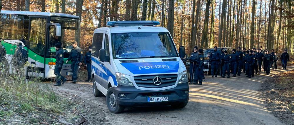 Polizisten und Einsatzfahrzeuge stehen in einem Waldstück. Ein Waldarbeiter hatte dort einen Knochen gefunden. 