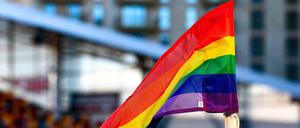 Die Rechte sexueller Minderheiten werden in Ungarn immer weiter eingeschränkt.