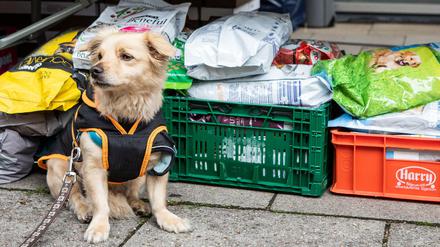 Viele Tierhalter sind auf die Ausgabe der Tiertafel angewiesen.
