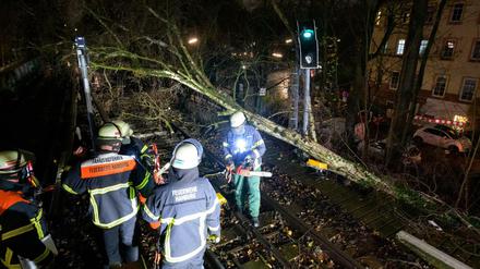 Feuerwehrleute bearbeiten mit Motorsägen einen umgestürzten Baum in Hamburg.