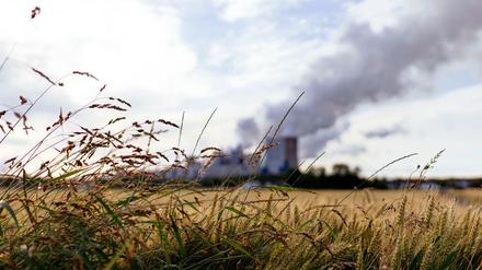 Klimaschutz und Wirtschaft - ein neues Superministerium soll es bringen. Dabei spricht viel dagegen.