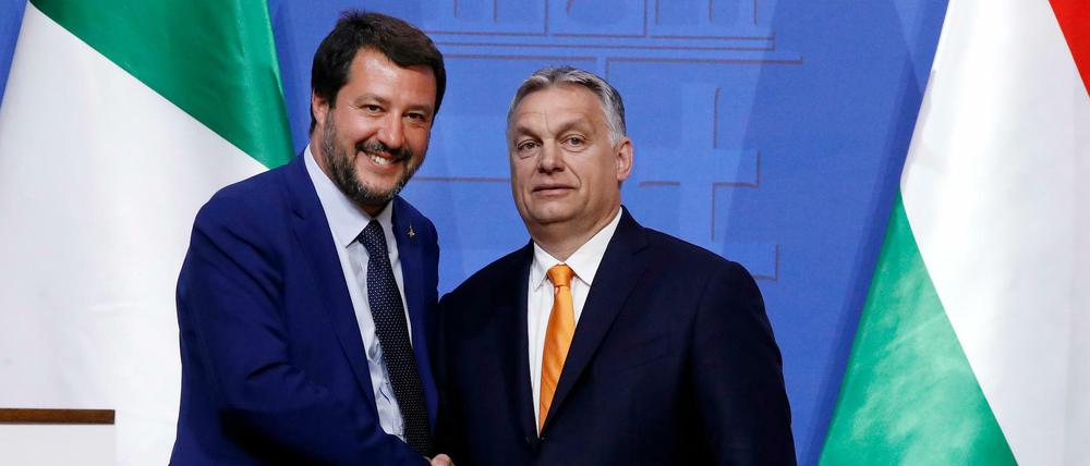 Matteo Salvini (links) von Italiens Lega und Ungarns Ministerpräsident Viktor Orban wollen noch enger zusammenrücken.