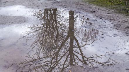 Das Berliner Wetter bleibt winterlich.