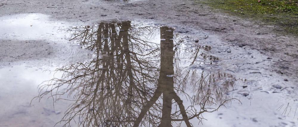Das Berliner Wetter bleibt winterlich.