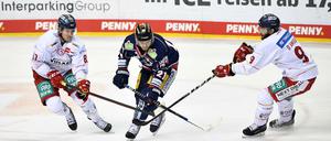 Ein Bein gestellt. Düsseldorf entriss den Eisbären einen schon sicher geglaubten Sieg. 