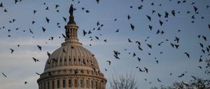 Das US-Kapitol nach dem Beschluss des Haushaltsplans. 
