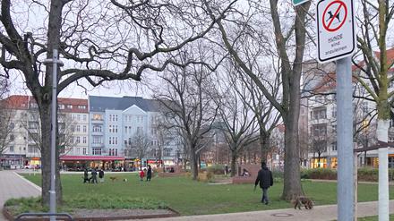 Schilder, die auf geschützte Grünanlage und Leinengebot hinweisen, und Hundehalter, die das ignorieren, auf dem Olivaer Platz in Berlin-Wilmersdorf.