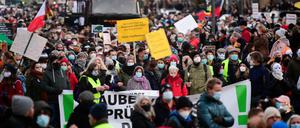 Demonstranten in Hamburg am 18. Dezember